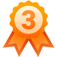 Bronze Medal
