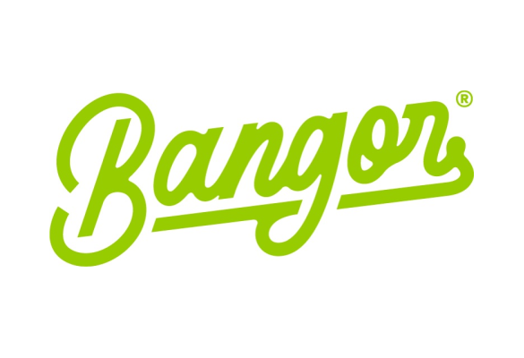 Burger Bangor