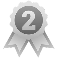 Silver Medal